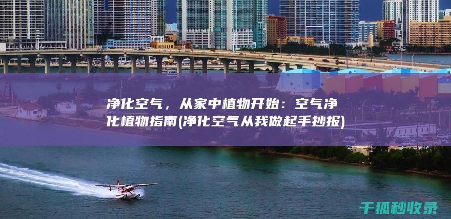 净化空气，从家中植物开始：空气净化植物指南 (净化空气从我做起手抄报)