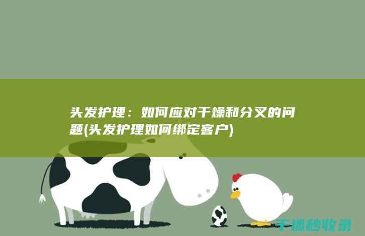 头发护理：如何应对干燥和分叉的问题 (头发护理如何绑定客户)