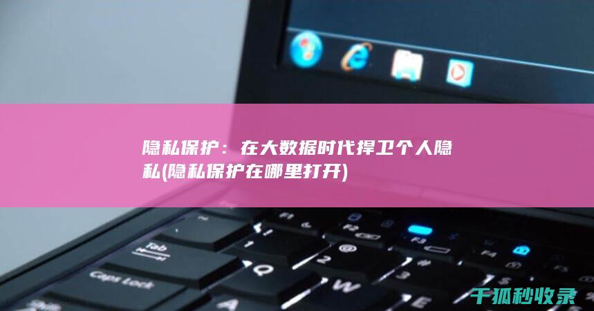 隐私保护：在大数据时代捍卫个人隐私 (隐私保护在哪里打开)