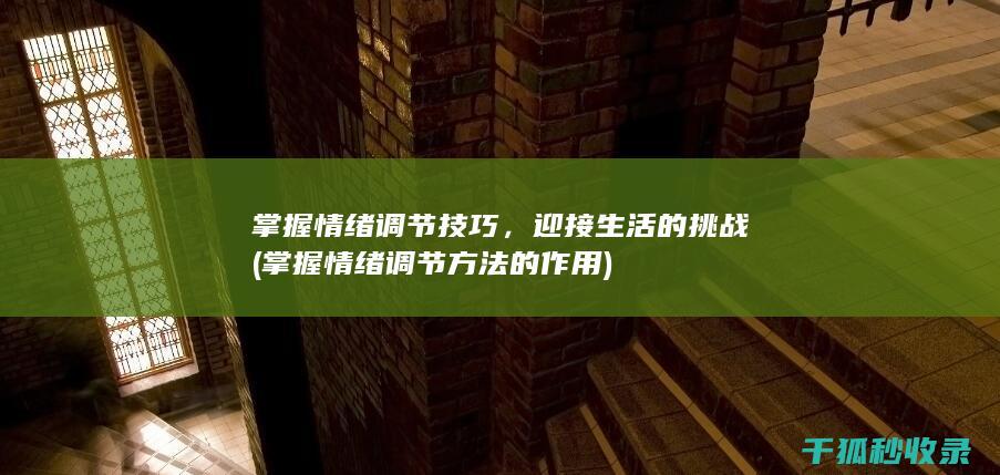 掌握情绪调节技巧，迎接生活的挑战 (掌握情绪调节方法的作用)