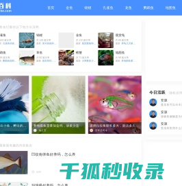 鱼百科