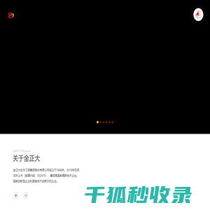 金正大集团