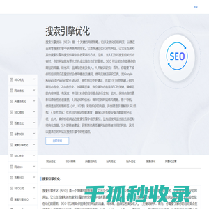 搜索引擎优化